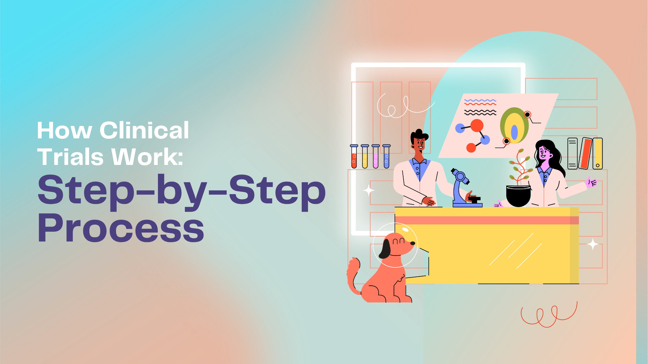 how clinical trials work